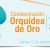 orquidea-concejo